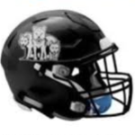 Wolfpack Football Helmet