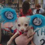 Kistler Elementary Celebrates Dr. Seuss' Birthday